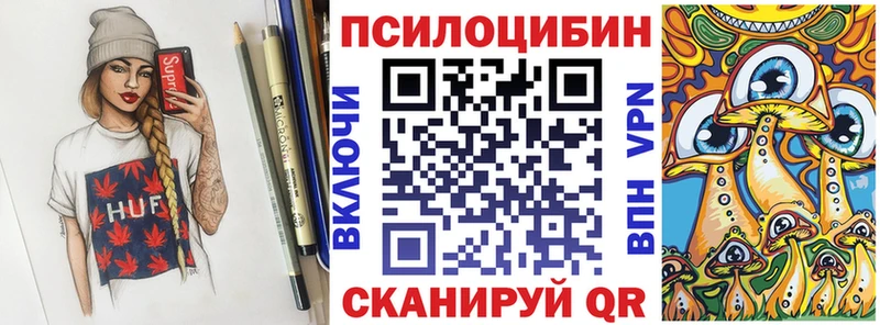 Купить закладки  Нерюнгри  Галлюциногенные грибы Psilocybe 